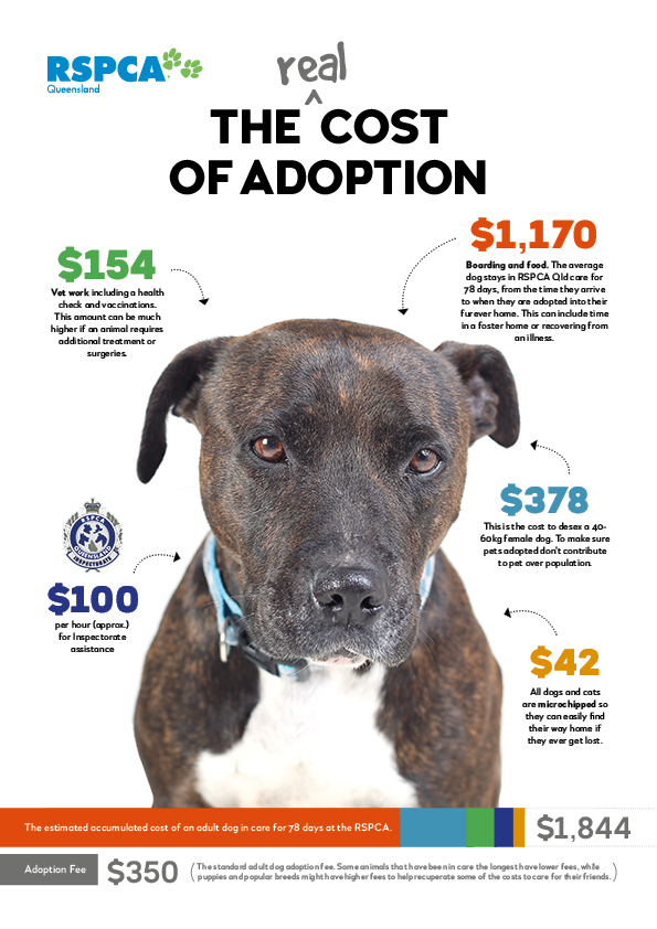 True cost of RSPCA Queensland Adoption Fee